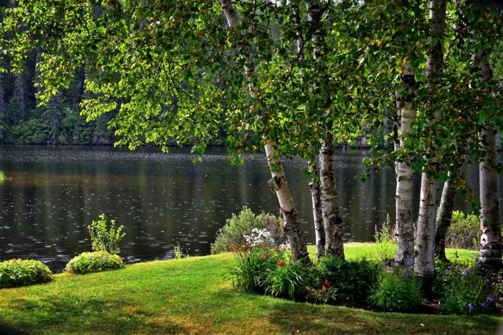 Top-Rated Local Gardener Near Me – Hire with Confidence